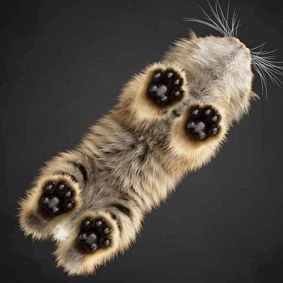 Meet your Posher, A. - Picture 1 of 1